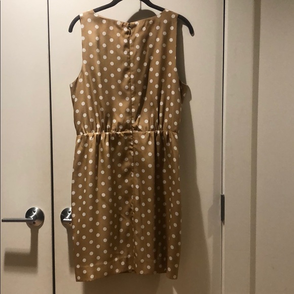 J. Crew Tan/White Polka Dot Dress - Picture 4 of 5